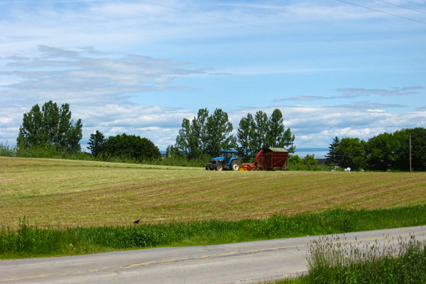 Environmental stewardship is one of our major concerns at Fox Hill Farm.