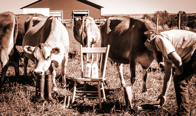 Fox Hill Cheese House follows a long-standing family tradition of quality.